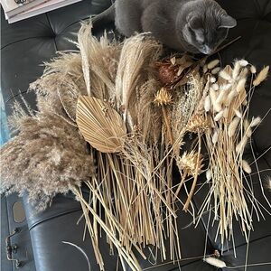 Huge Bouquet of Dried Flowers/Leaves/Pampas